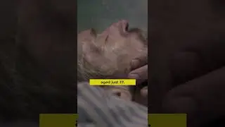 Каковы были последние слова Винсента Ван Гога?
