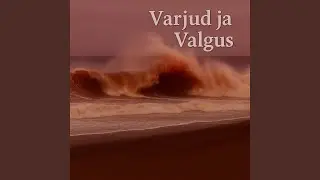 Klaasist linnud