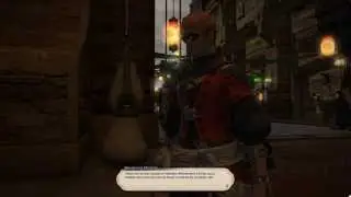 FFXIV - The Rising 2 Year Anniversary Event (2015), Full Cutscenes and NPC chatter