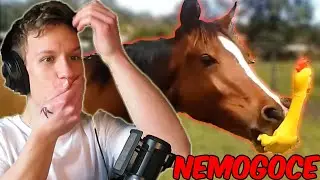 Najtežji SMEJIŠ ZGUBIŠ Challenge