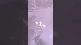 On Pokemon Legends Arcues things be electrifying with electabuzz