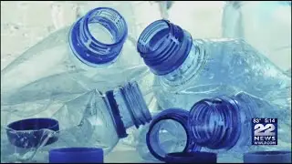 Food for Thought: BPA-free plastic containers may pose health risks