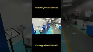 French Fry Processing Line | Washing, Cutting, Frying & Packaging