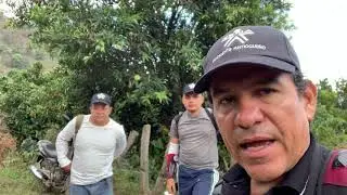 A PAJARIAR 3