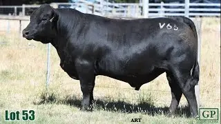 Lot 53 Glendan Park Vice Regal ALT24V65