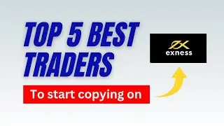 How to Choose the Best Forex Traders to Copy on EXNESS Social Trading