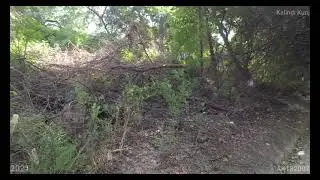 Okhla Bird Sanctuary - (4K Tour -New Delhi 2021 -Okhla ) 6