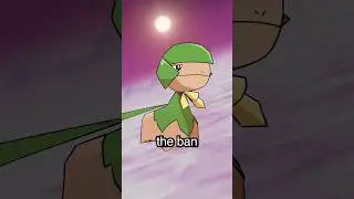 the tiktok ban