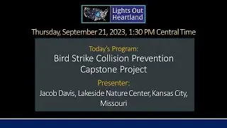 Webinar: Bird Strike Collision Prevention Capstone Project