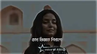 আমিও শিখলাম #voiceofabir#artist #sadtok