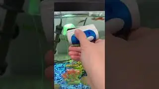 How to Use Magnetic Cleaner #shorts #aquarium #glasscleaner #pets #petfish
