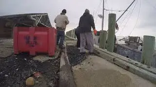 Handy Seafood Crisfield Oyster Delivery