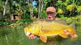 3 Days Homeless in Hawaii - Fishing, Camping & Snorkeling