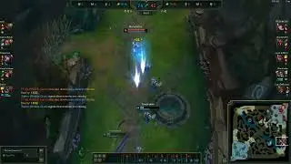 Why neeko w is the best