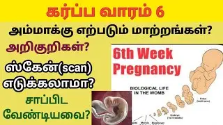 கர்ப்பம் வாரம் 6 | 6th week of pregnancy in tamil | 6th week pregnancy symptoms in tamil | pregnancy