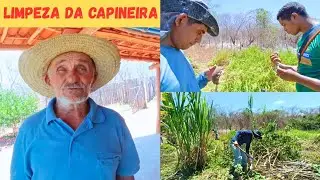 Servi&ccedil;o da Capineira Continua Paulo Cercando e Limpeza da Outra Capineira Vejam s&oacute;