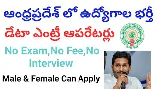 Data Entry Jobs in Ap 2020 || Ap Government Jobs 2020|| Data Entry Operator jobs