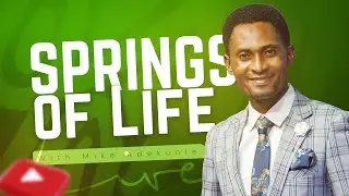 SPRINGS OF LIFE || THE MAN DAVID