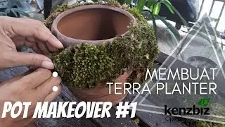 POT MAKEOVER #1 | TUTORIAL MODIFIKASI POT GERABAH JADI TERRA PLANTER