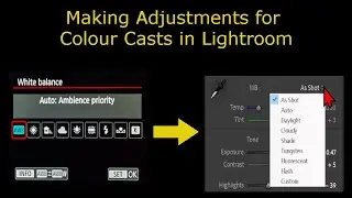 Why You Should Correct White Balance in Lightroom