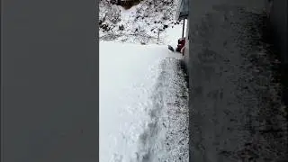 Как раз тогда, когда я думала, что эта снежная буря &mdash; пустяк! #зимняяпогода #снег #хозяйство