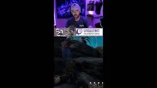 Chill vibes, come hang out!