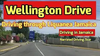 Wellington Drive | Liquanea Jamaica
