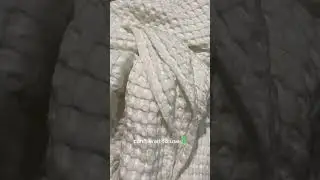 cooling weighted blanket review,  #shorts #viral #tiktok