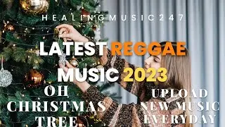 Latest reggae music playlist 2023. Best for dance, relax, and chill. Falconer - Oh Christmas Tree