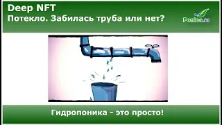 Гидропоника 💦Deep NFT 💦 Хорошая корневая это не только хорошо, но и плохо.
