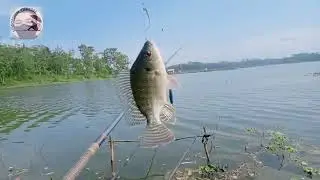spot Syahdu, cangkring waduk karangkates (WKK) Dempok Kab. malang @sobolepen_official7939