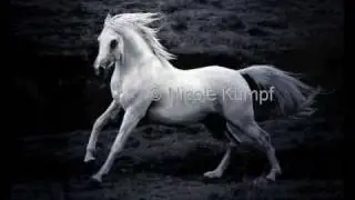 Entstanden wegen 'hobbylosigkeit'.wmv