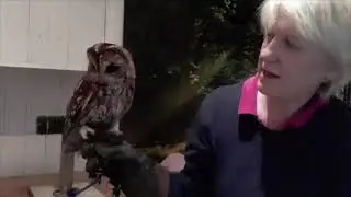 Owls and Your Garden 1