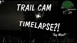 Trail Cam - Time lapse
