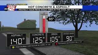 Protect your pets&rsquo; paws! Asphalt can reach 150 degrees+ in summer