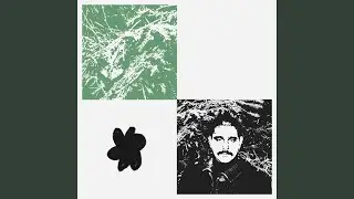 Fhadi (Roe Deers Remix)