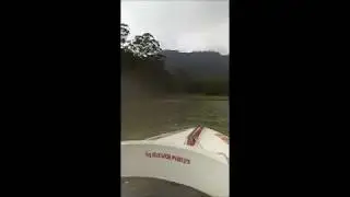 Godwin Holidays - Elephants swimming | Wild elephant view during the boat ride in Munnar