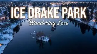 Ice Drake Park: Wandering Love - Dub FX