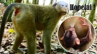 New Mom Belley Hopeful To See Beliona, She Trying Hard Seeking Baby Beliona Was Lost This Jungle
