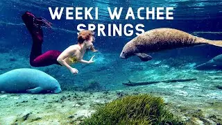 Weeki Wachee Springs - Florida State Park