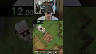 $100 Minecraft Challenge Day 3