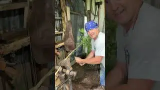 How i tie my limb lines to the limb #catfish #catfishing #fishing #countryboy #viralvideo