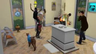 Sims 4 Pets Freaking out Glitch