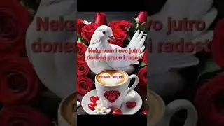 Dragi prijatelji, dobro jutro 🕊🦋☕️☕️🩵