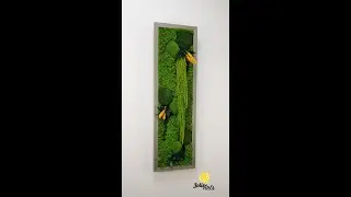 Green Amaranthus, Grey Frame, Natural Moss, Lichen and Preserved Plants, Jolie Arts