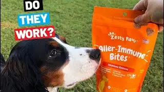 Do Aller Immune Bites From Zesty Paws Actually Work