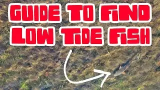 HOW TO Find LOW TIDE Inshore FISH - Tampa Bay Fishing