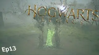 Hogwarts Legacy - Goblins, Mr.Oakes, Mr.Weasly, and Corrupt Audio?!
