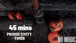 October 45 min Timer | Halloween Timer | Preptober Timer with Music