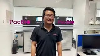 MAS-Seq for Single Cell Bioinformatics Walkthrough